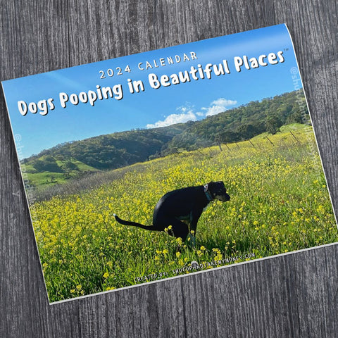 Dogs Pooping in Beautiful Places 2024 Calendar