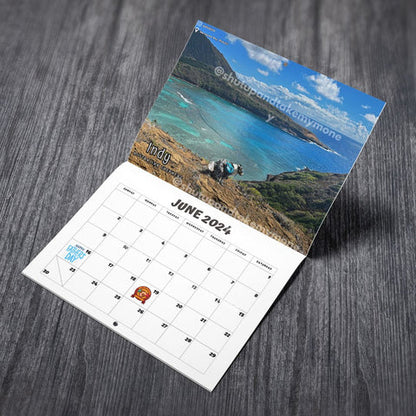 Dogs Pooping in Beautiful Places 2024 Calendar