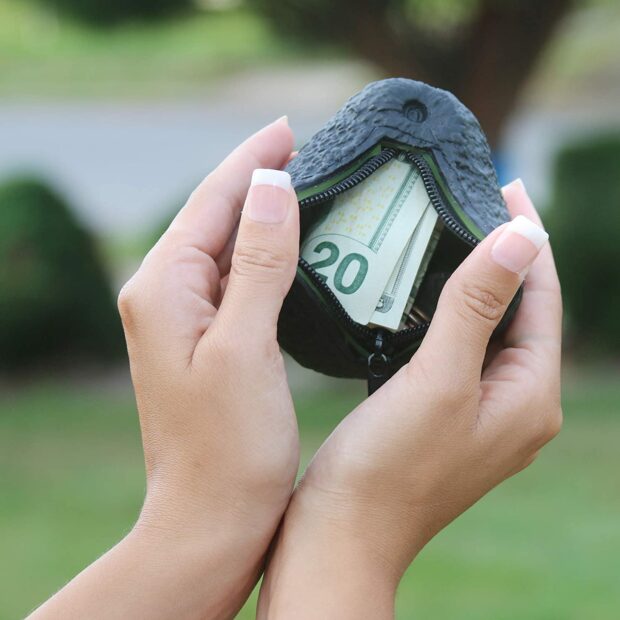 Avocado Purse