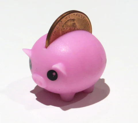 Mini Piggy Bank