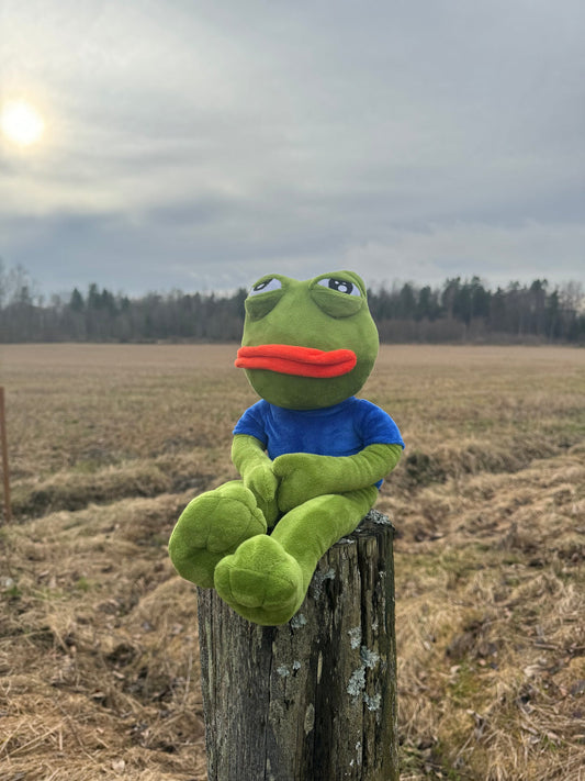 SAD PEPE