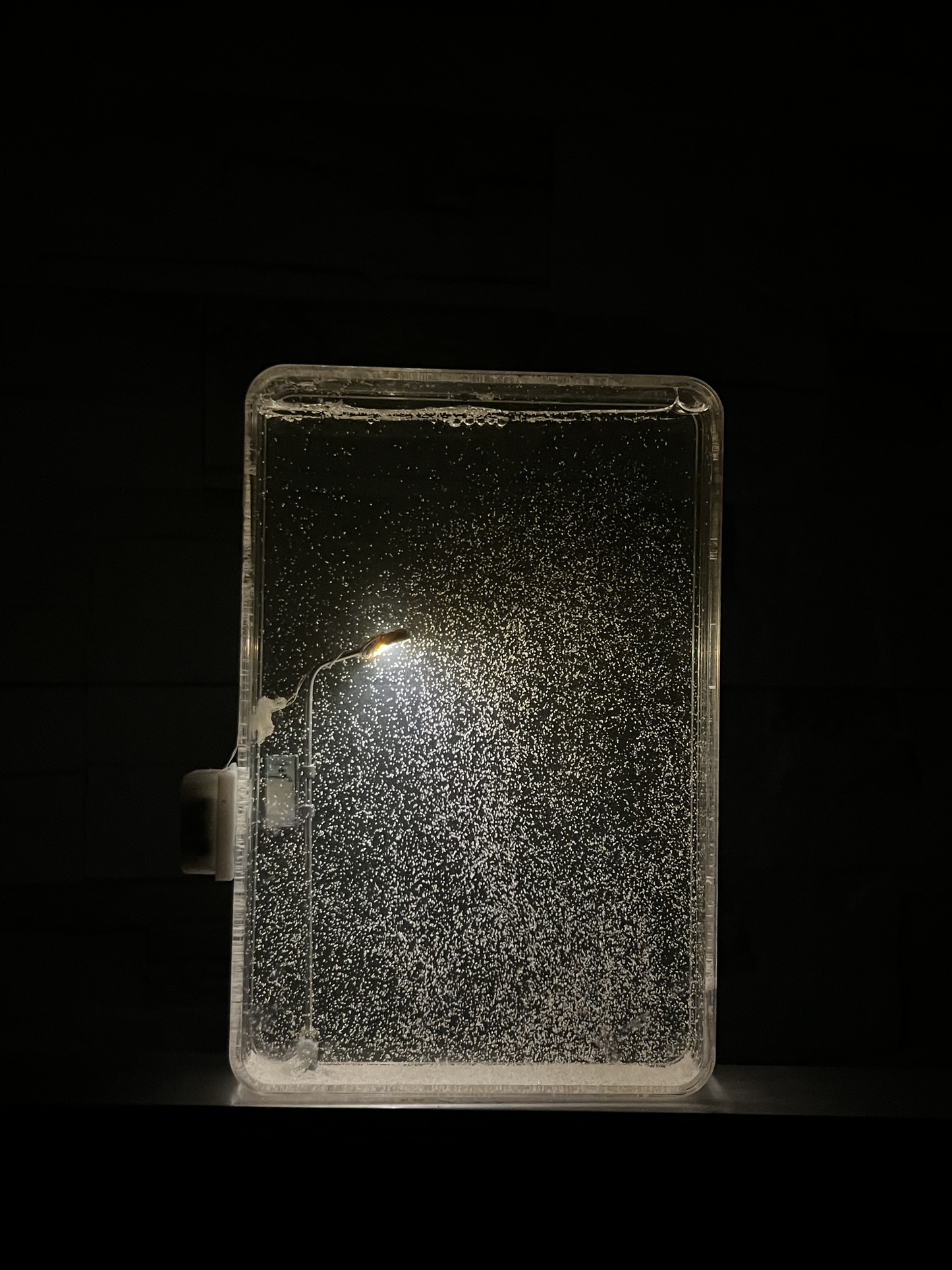 Dreamy SnowScene Lamp